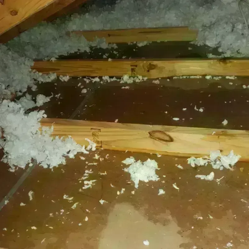 Attic Water Damage in Wiggins, MS