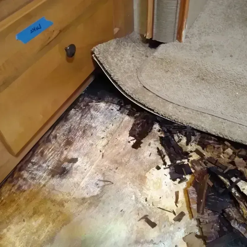 Wood Floor Water Damage in Wiggins, MS